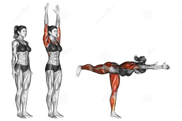 Động tác yoga tác động tới các cơ như thế nào? - 7 Động tác yoga tác động tới các cơ như thế nào? - 7