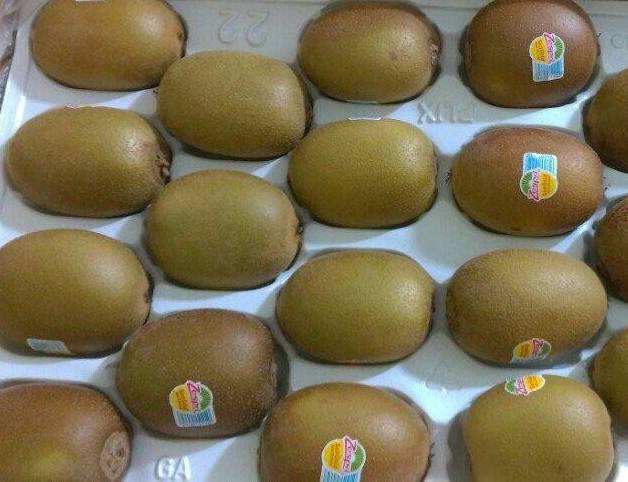 Xôn xao Kiwi cầu vồng: Tết cổ truyền giải ngán kiểu Nhật - 1
Kiwi là loại quả nhập khẩu có bán trên thị trường Việt từ rất nhiều năm nay