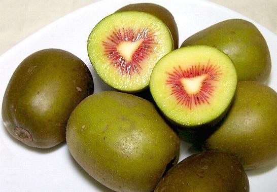 Xôn xao Kiwi cầu vồng: Tết cổ truyền giải ngán kiểu Nhật - 2
Nhưng mới đây loại kiwi cầu vồng khiến mọi người giật mình vì giá của chúng thuộc hàng siêu đắt đỏ