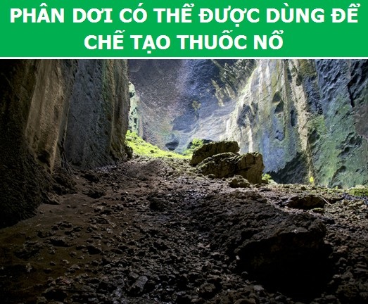 Khám phá những sự thật thú vị về loài dơi - 3