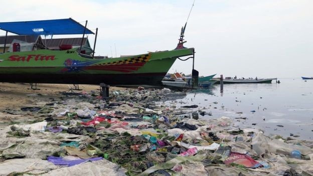 Một phần ba các rạn san hô “bị nhựa vướng vào” - 3
Các mảnh nhựa trên bãi biển ở Sulawesi, Indonesia – Ảnh của Joleah Lamb.