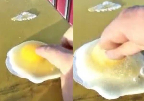 Video: Đập trứng ra, biến thành cục băng trong phút chốc - 1 Trứng đập ra đóng băng chỉ sau vài giây.