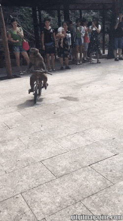 Hậu quả của việc đi xe trên đường mà mãi nhìn gái đẹp