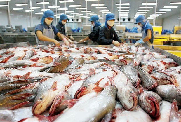Luật Cải cách thuế mới của Hoa Kỳ lâu dài sẽ ảnh hưởng không nhỏ tới VN - 1
Xuất khẩu vào Hoa Kỳ về lâu dài cũng bị ảnh hưởng sau khi Luật Cải cách thuế mới của nước này có hiệu lực (Ảnh minh họa)