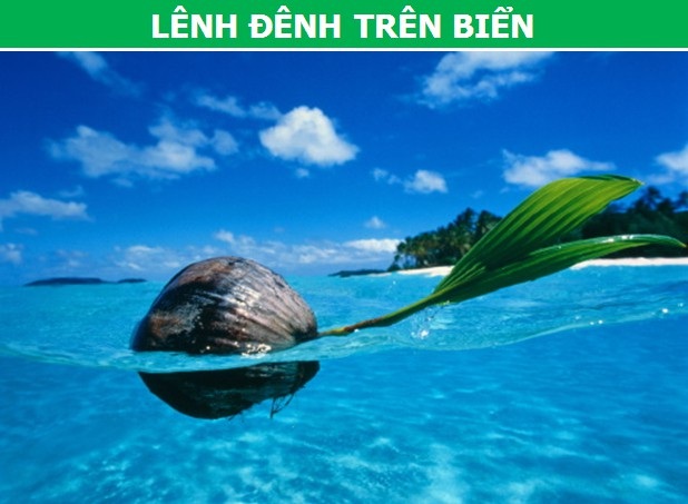 Khám phá những phương pháp phát tán hạt giống đặc biệt của thực vật - 1 Khám phá những phương pháp phát tán hạt giống đặc biệt của thực vật - 1