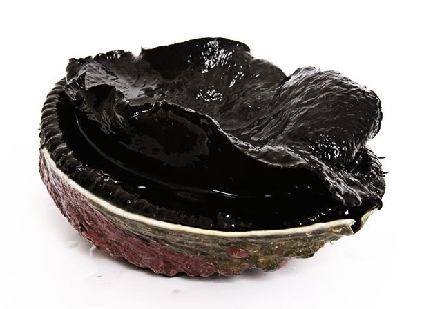 
Bào ngư đen New Zealand có giá khoảng 6,7 triệu đồng/kg trên thị trường Việt.
