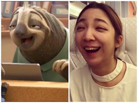 Khám phá phiên bản đời thực của các nhân vật hoạt hình - 11 Flash trong “Zootopia” cũng có một phiên bản nữ “lầy lội” không kém