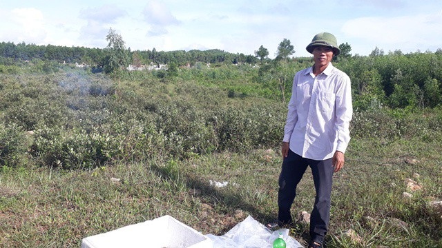 Nhiều nông dân kiếm trăm triệu nhờ trồng sim, “nhặt lá” tre rừng - 3 Ông chủ vườn sim 2 ha Phan Thanh Nhàn rất tự tin vào tương lai của vườn sim. Ảnh: Dân Việt