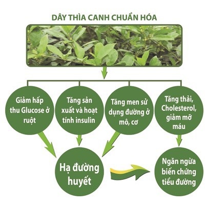 4 giải pháp giúp người tiểu đường phòng ngừa suy thận - 4 4 giải pháp giúp người tiểu đường phòng ngừa suy thận - 4
