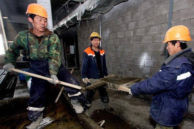 Nga sẽ trục xuất toàn bộ lao động Triều Tiên - 1
Người lao động Triều Tiên làm việc tại công trường xây dựng (Ảnh: Independent)