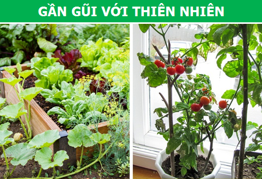Những nguyên tắc sống khiến người Thụy Điển hạnh phúc nhất thế giới - 5 Những nguyên tắc sống khiến người Thụy Điển hạnh phúc nhất thế giới - 5