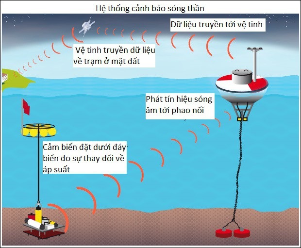 Lỗ hổng chết người trong hệ thống cảnh báo sóng thần của Indonesia - 3 Hệ thống cảnh báo sóng thần bằng cảm biến, phao nổi và vệ tinh (Nguồn: ABC News)