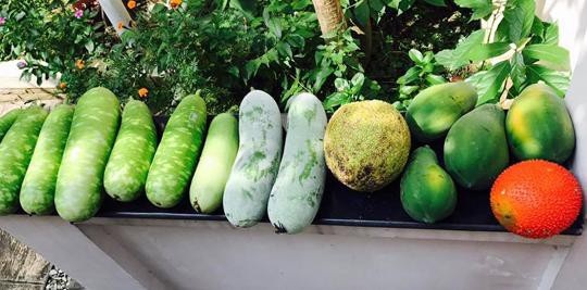 Hé lộ biệt thự nhà vườn bình yên sau bao trầm luân của “Người đẹp Tây Đô” - 10 Hé lộ biệt thự nhà vườn bình yên sau bao trầm luân của “Người đẹp Tây Đô” - 10