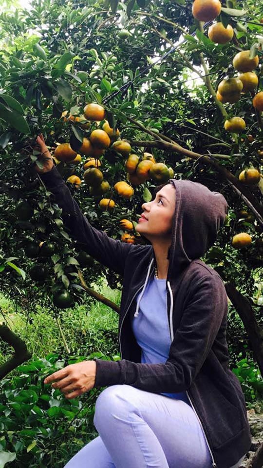 Hé lộ biệt thự nhà vườn bình yên sau bao trầm luân của “Người đẹp Tây Đô” - 5 Nhà vườn ở Lái Thiêu cũng là nơi Việt Trinh nuôi dưỡng tình yêu thiên nhiên cho con trai Thiện Nhân. “Mỗi cuối tuần về thu hoạch cây trái, Trinh cảm thấy như được xả stress, quên hết muộn phiền”, cô chia sẻ. Ngoài làm từ thiện và tham gia một số hoạt động, chiêm nghiệm về triết lý Phật giáo thì Việt Trinh dành nhiều thời gian để chăm sóc cây cối.