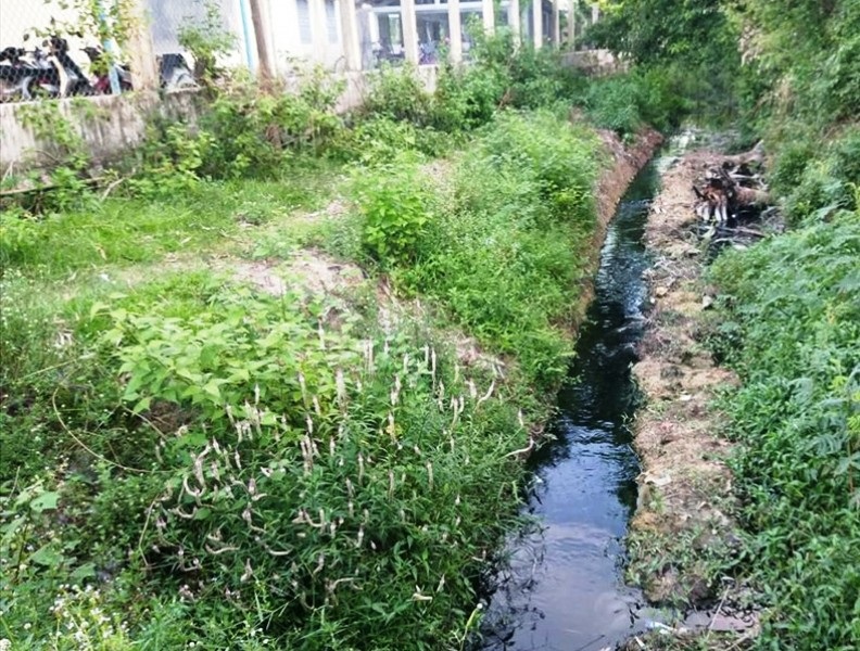 Học sinh đeo khẩu trang nghe giảng bài, dân đeo khẩu trang ngủ (!?) - Ảnh 3. Học sinh đeo khẩu trang nghe giảng bài, dân đeo khẩu trang ngủ (!?) - Ảnh 3.