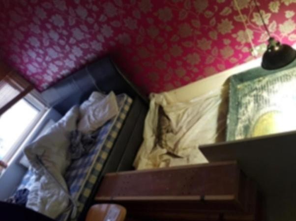 Xộ khám vì nuôi cá sấu, rắn hổ mang và nhiều loài bò sát khác trong phòng ngủ - 3 Phòng ngủ chật hẹp của Thompson nuôi tới 70 loài bò sát