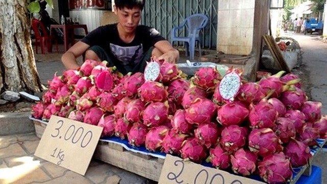 Sơ hở khiến ngân sách mất hơn ngàn tỷ; Giảm giá 1 cây kem cũng phải có… hồ sơ! - 2 Giá thanh long năm nay xuống thấp