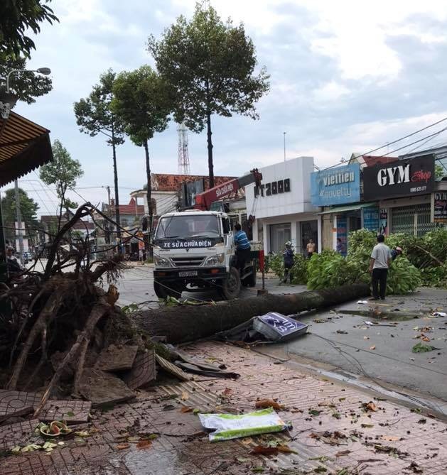 Hàng loạt cây xanh, bảng quảng cáo, cột điện gãy đổ trong cơn lốc xoáy - 1 Hàng loạt cây xanh, bảng quảng cáo, cột điện gãy đổ trong cơn lốc xoáy - 1