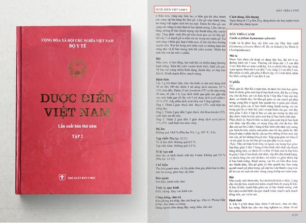 Dây thìa canh giúp hạ đường huyết mới được ghi vào dược điển Việt Nam - 2 Dây thìa canh chính thức được đưa vào Dược điển Việt Nam
