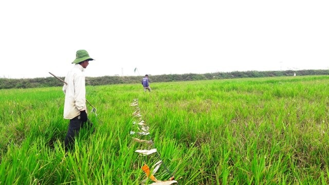 Vượt hàng trăm km "hốt" bạc triệu mỗi ngày nhờ nghề săn "tôm bay" - 2 Vượt hàng trăm km "hốt" bạc triệu mỗi ngày nhờ nghề săn "tôm bay" - 2