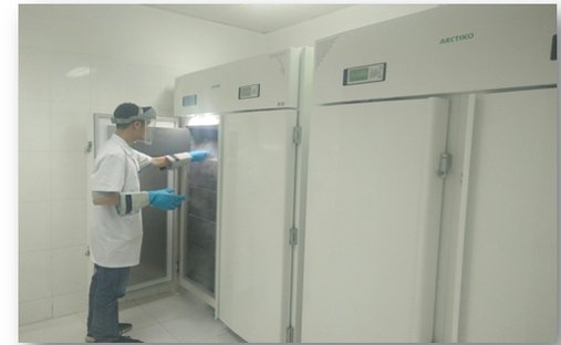 Ngân hàng mô đầu tiên của Việt Nam đi vào hoạt động - 1