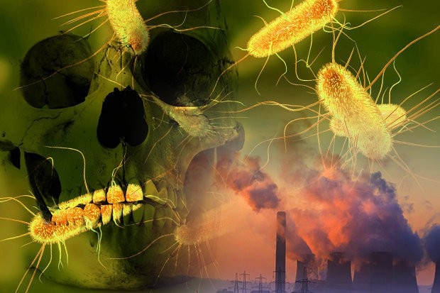 Loại vi khuẩn có thể giết trăm triệu người sắp thoát ra từ Bắc Cực? - 1
Cảnh báo loại vi khuẩn chết người có thể thoát ra ngoài ở Bắc Cực nhờ băng tan.