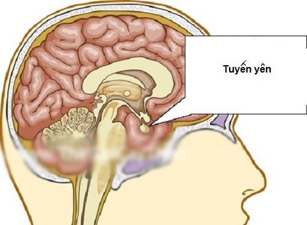 Người đàn ông liên tục rỉ sữa như gái đẻ - 4 Người đàn ông liên tục rỉ sữa như gái đẻ - 4