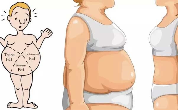 Những thủ phạm gây mỡ bụng cần tránh xa - 1 Những thủ phạm gây mỡ bụng cần tránh xa - 1