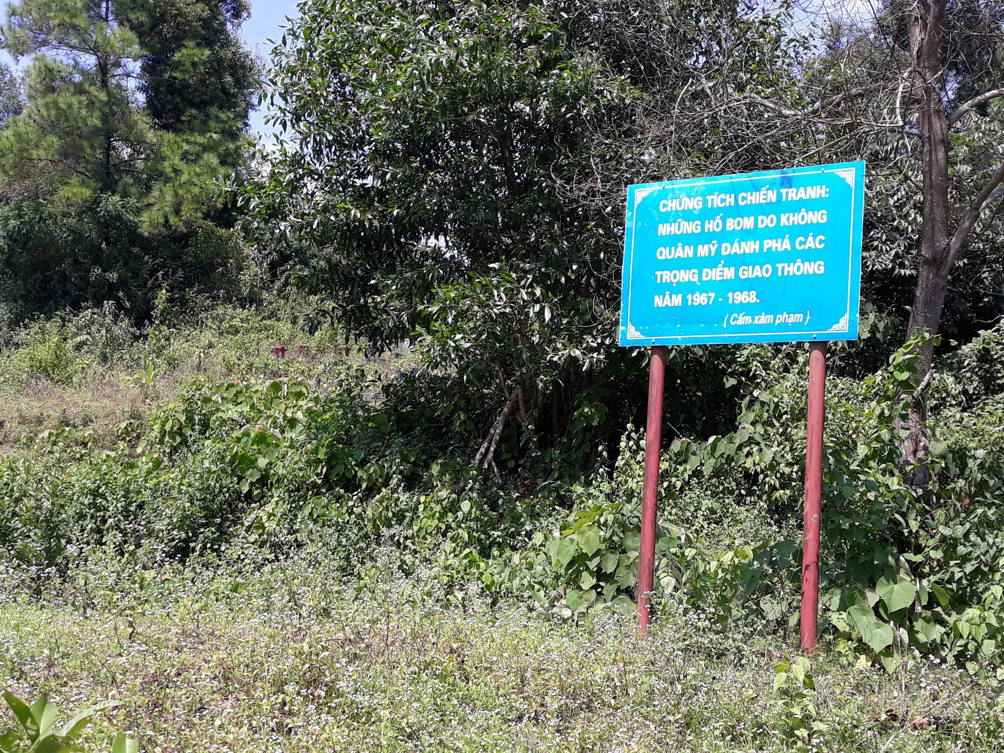Truông Bồn ngày ấy: Những người phụ nữ “bất tử” - Ảnh 5. Truông Bồn ngày ấy: Những người phụ nữ “bất tử” - Ảnh 5.