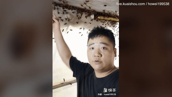 Rùng rợn: Người đàn ông bạo gan tóm hàng chục con ong “sát thủ” bằng đôi tay trần - 1 Người đàn ông nắm cả chục con ong sát thủ trong tay