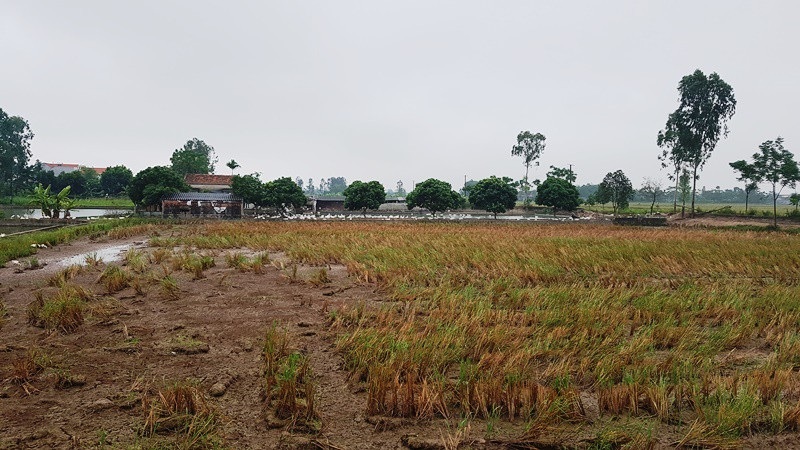 Dự án nuôi trồng thủy sản gần 12 tỷ đồng bỏ hoang: Sở Nông nghiệp lên tiếng - Ảnh 3. Dự án nuôi trồng thủy sản gần 12 tỷ đồng bỏ hoang: Sở Nông nghiệp lên tiếng - Ảnh 3.