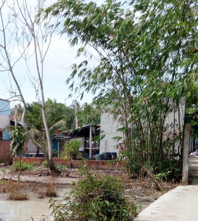 TAND tỉnh Bến Tre tuyên huỷ án bản án vi phạm tố tụng của TAND huyện Mỏ Cày Nam! - 1 Nhà ông Đỗ Văn Tròn chiếm toàn bộ phần mặt tiền của khu đất.