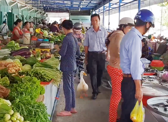 Kỳ lạ người đàn ông coi vịt như... thú cưng, cho đi dạo phố - 2 Chủ và thú cưng cùng đi chợ.