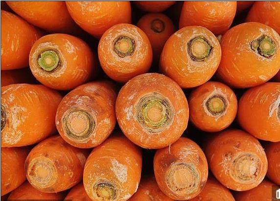 Tác dụng của cà rốt làm tăng tính kết dính của xi măng - 1 Tác dụng của cà rốt làm tăng tính kết dính của xi măng - 1