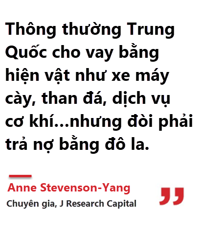 quote sua quote sua