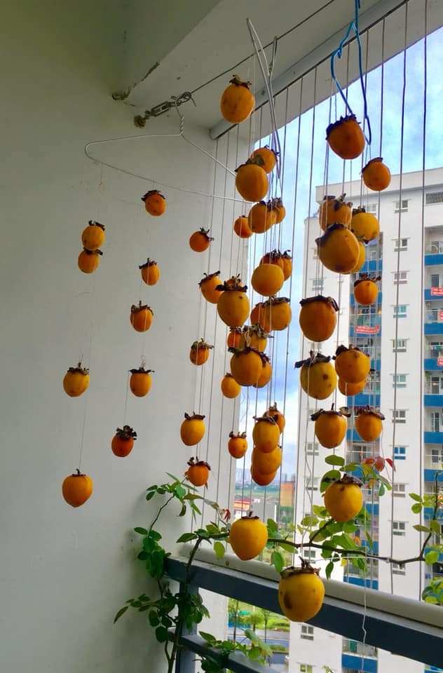Hồng sấy dẻo kiểu Nhật giá chát, chị em Việt treo đầy ban công - 6 Quy trình từ khi treo hồng gió đến khi thu hoạch khoảng 2-3 tuần tùy thuộc vào từng loại hồng. Theo kinh nghiệm của nhiều bà nội trợ, 3 ngày đầu là khoảng thời gian quan trọng nhất quyết định đến độ ngon của hồng treo gió. Ảnh: Nguyễn Thanh