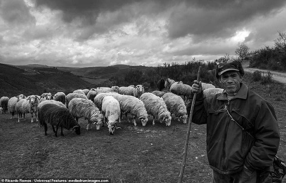 Sự cô đơn tỏa ra từ những bức ảnh ám màu thời gian - Ảnh 6.