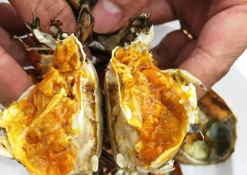 Cận cảnh loài cua lông Hong Kong cực đắt tiền triệu hút khách Việt - 8
Một con cua lông chỉ nặng 100-250 gram nhưng có giá lên tới 350.000-900.000 đồng nên đây là một trong những loại cua đắt đỏ nhất thế giới.