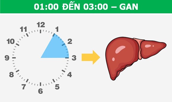 Đừng chủ quan nếu thường xuyên bị tỉnh giấc vào một thời điểm nhất định - 3 Đừng chủ quan nếu thường xuyên bị tỉnh giấc vào một thời điểm nhất định - 3