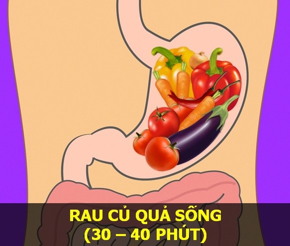 Nắm vững thời gian cơ thể tiêu hóa các món ăn để “sống khỏe mỗi ngày" - 5 Nắm vững thời gian cơ thể tiêu hóa các món ăn để “sống khỏe mỗi ngày" - 5