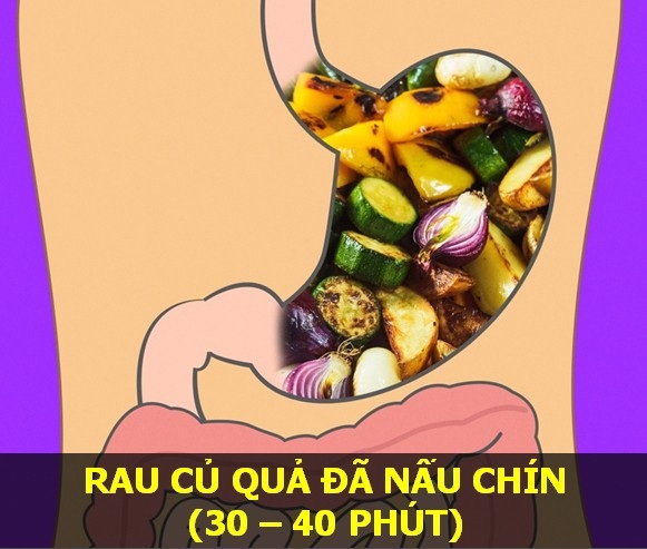 Nắm vững thời gian cơ thể tiêu hóa các món ăn để “sống khỏe mỗi ngày" - 6 Nắm vững thời gian cơ thể tiêu hóa các món ăn để “sống khỏe mỗi ngày" - 6