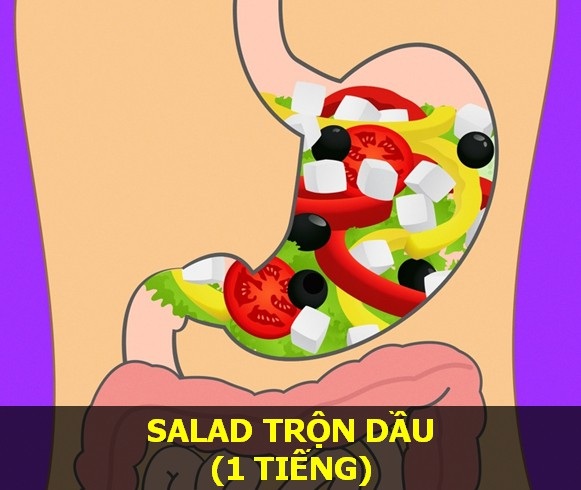 Nắm vững thời gian cơ thể tiêu hóa các món ăn để “sống khỏe mỗi ngày" - 8 Nắm vững thời gian cơ thể tiêu hóa các món ăn để “sống khỏe mỗi ngày" - 8