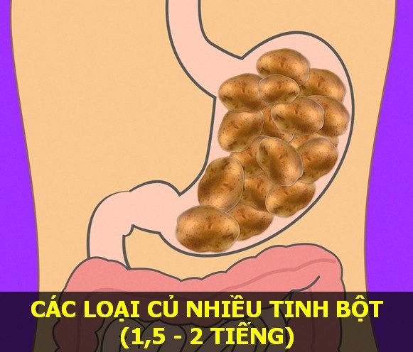 Nắm vững thời gian cơ thể tiêu hóa các món ăn để “sống khỏe mỗi ngày" - 9 Nắm vững thời gian cơ thể tiêu hóa các món ăn để “sống khỏe mỗi ngày" - 9