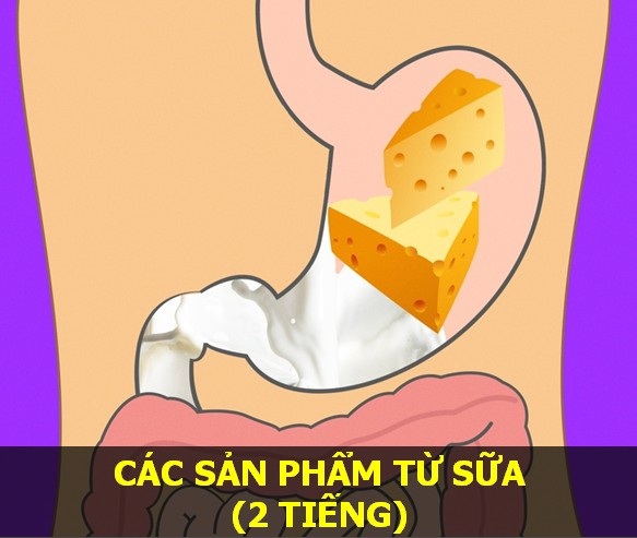 Nắm vững thời gian cơ thể tiêu hóa các món ăn để “sống khỏe mỗi ngày" - 11 Nắm vững thời gian cơ thể tiêu hóa các món ăn để “sống khỏe mỗi ngày" - 11