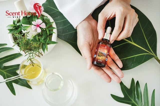 Scent Homes – Du lịch vòng quanh thế giới bằng mùi hương - 3 Tinh dầu Scent Homes Việt Nam.