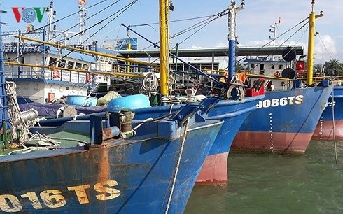Tăng cường thông tin, tuyên truyền, phủ sóng phát thanh trên vùng biển, đảo của ta - 3 Tăng cường thông tin, tuyên truyền, phủ sóng phát thanh trên vùng biển, đảo của ta - 3