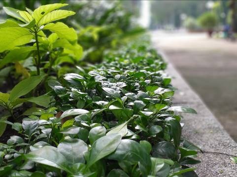 Camera xóa phông Galaxy J6+:  Phó nháy đắc lực cho người dùng trẻ - 3