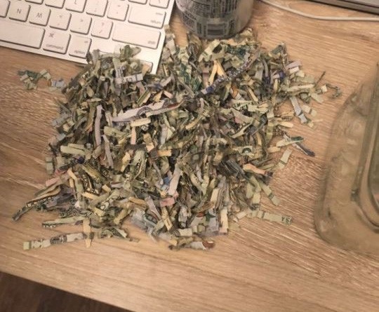 Bố mẹ tích cóp cả nghìn USD, con bỏ luôn vào máy xén giấy - 1
Hơn 1.000 USD biến thành giấy vụn