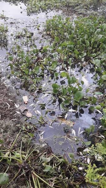 Thủ phạm khiến sông Cầu giãy chết lộ sai phạm liên hoàn, chính quyền xử lý quyết liệt - 4 Thủ phạm khiến sông Cầu giãy chết lộ sai phạm liên hoàn, chính quyền xử lý quyết liệt - 4