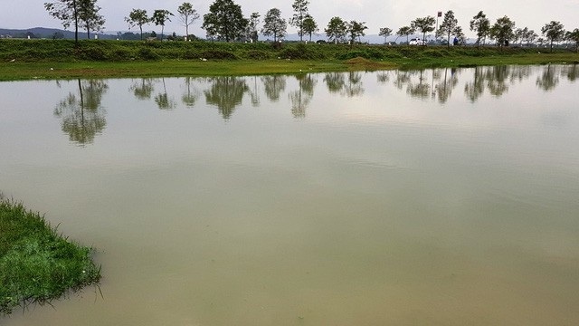 Vụ xin cải tạo hồ trồng sen, đào hết đất bán: Kỷ luật hàng loạt cán bộ để xảy ra sai phạm - Ảnh 1. Vụ xin cải tạo hồ trồng sen, đào hết đất bán: Kỷ luật hàng loạt cán bộ để xảy ra sai phạm - Ảnh 1.